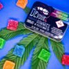 Devour Gummies Fruity Stash
