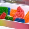 Devour Gummies Fruity Stash